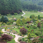 The Garden of Morning Calm, Gapyeong